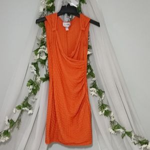 Joseph Ribkoff Slimming Curves to Body Dress